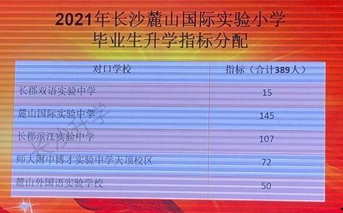 岳麓一小爆料新闻最新,校园生活新篇章